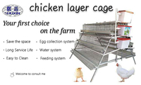 Système d'abreuvement automatique à 3 niveaux pour 96 oiseaux, cages à poules pondeuses, élevage avicole en Tanzanie