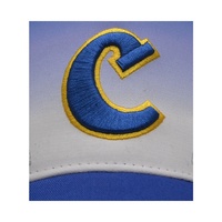 Amerikaanse Baseballpet Groothandel 100% Polyester 3d Borduurwerk Gradiënt Blauwe Mode Baseballpet