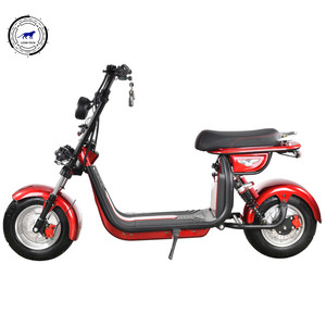10 년 수출 성인 500 와트 전기 오토바이/지방 타이어 전기 오토바이 EEC 승인 Citycoco - Product Image 4