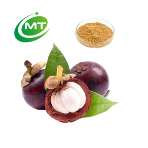 Pabrik Langsung Menyediakan Ekstrak Bubuk Buah Manggis Alami 10%-40% alpha-Mangostin - Product Image 2