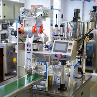 Machine de remplissage de gobelets directe usine, scelleuse en acier inoxydable de qualité alimentaire pour sauce chili et sauce tomate, remplisseur à piston rotatif