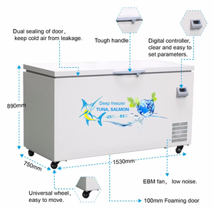 Congelador Horizontal Comercial de 320L a -60 Grados para Pescado, Uso Doméstico y Hotelero DW-60W320 - Product Image 2