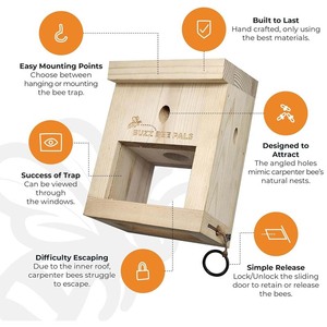 Piège à abeilles charpentières d'extérieur - Piège de surveillance des abeilles charpentières B1 - Toit incliné - Piège à abeilles en bois - Piège à abeilles charpentières (Lot de 1 pièce) - Product Image 6