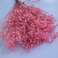 सस्ते थोक स्थिर gypsophila babysbreath स्टार फूल चीन से संरक्षित