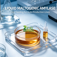 Enzyme Amylase Maltogénique Anti-Vieillissement pour le Maintien de la Fraîcheur du Pain, la Saccharification de l'Amidon, la Cuisson et l'Aide au Traitement du Sucre et de l'Amidon dans la Brassage