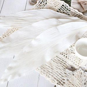 ดอกแอสปิดิสตราแห้งแบบถาวรในกล่องของขวัญพร้อมฝาครอบแก้ว สำหรับตกแต่งบ้าน ถ่ายภาพ ใช้ในงานเทศกาล คริสต์มาส อีสเตอร์ ปีใหม่ สามารถปรับแต่งได้ - Product Image 1