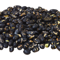 Kacang Kedelai Hitam Panggang Asin Tinggi Protein, Camilan Sehat Tanpa Digoreng, Camilan Kacang Hitam Renyah, OEM ODM Label Pribadi Grosir