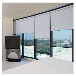 Wifi应用控制谷歌阿列克谢窗帘电动卷帘防风防水户外卷帘 - Product Image 1