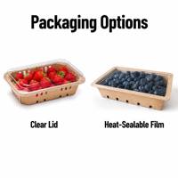 Voedselveilige kraftpapieren punnetdoos met aangepaste vorm, logo, voor verse groenten en fruit, hitteverzegelbaar, recycleerbaar, OEM-fabriek