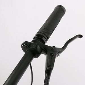 Green Life-Vélo électrique <span class=keywords><strong>de</strong></span> 36V et 250W, 26 pouces, 700C, frein à disque sur la roue arrière, vélo tout-terrain électrique, vélo <span class=keywords><strong>de</strong></span> ville électrique pour femmes - Product Image 6