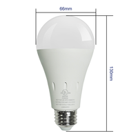 Ampoule LED à piles rechargeables 220V AC 12V DC