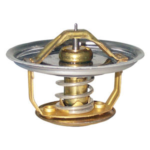 Termostato, Liquido Refrigerante Adatto per Termostati IVECO 425079 - Product Image 1