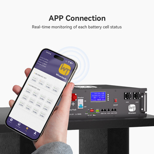 Batería de Almacenamiento de Energía Doméstica LiFePO4 de 51.2V 100Ah con Diseño Compacto para Ahorro de Espacio, ESS 100A, BMS Integrado, Batería para Rack con Servidor CAN - Product Image 6