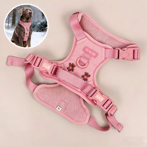 Groothandel Geen-Trek Hondentuig Tuig Borduurwerk Design Huisdier <span class=keywords><strong>Vest</strong></span> Tuig voor Kleine en Middelgrote Honden - Product Image 1