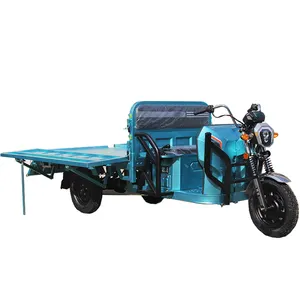 60v 30Ah 1000W Quality Strong Power 3 wheel triciclo electrico Cargo trike Electric Tricycle for carry goods