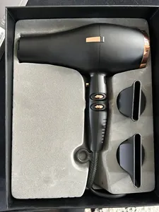 2300W Salon Lightweight Powerful High Speed BLDC Professional 110000Rpm Leafless Negative Ionic Hair Dryer