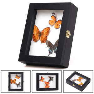 Bán buôn tùy chỉnh kích thước khung ảnh 4x6 6x8 8x10 A4 sáng tạo <span class=keywords><strong>DIY</strong></span> Hoa Khô 3D gỗ bóng hộp khung - Product Image 5