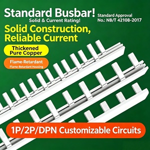 Barre omnibus <span class=keywords><strong>électrique</strong></span> DPN 63A, <span class=keywords><strong>bornier</strong></span> <span class=keywords><strong>de</strong></span> disjoncteur DPN, raccord DPN en cuivre pur épaissi, norme nationale Chine continentale - Product Image 2