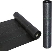 Toile de paillage agricole en PP tissé pour serres / Membrane tissée en PP / Couverture de sol en plastique noir pour jardinage