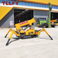 Prix direct usine TLLFY Mini-grue araignée à bras télescopique 2 tonnes, rotation 360°, double moteur, hauteur de levage <10m