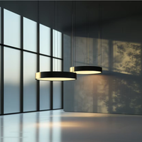 Plafonds tendus en membrane PVC avec cadre en aluminium suspendu, garantie de qualité, boîtes lumineuses architecturales