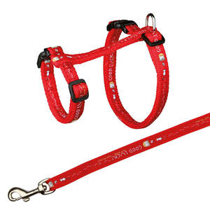 Arnés para Gato XL de Nailon Rojo con Estampado de Buena Suerte, Conjunto para Pasear Mascotas - Product Image 1