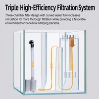 Aquarium carré en verre 54L, design écologique, filtre latéral à trois compartiments, lampe à luminosité réglable, filtration ultra-silencieuse, poissons