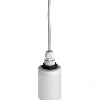 Capteur de niveau à ultrasons authentique FDU90 FDU91 FDU95 FDU96, 4-20mA avec sortie relais, pour liquides et suspensions, en stock
