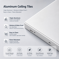 Panneaux de plafond en aluminium sur mesure, finition décorative, design moderne, faible MOQ, usage commercial