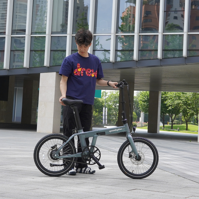 Electric Mountain Bike EU Stock Foldable Woman City Folding Ebike Bici Elettrica 250w Bicicleta E Bike