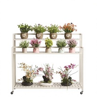 Support à fleurs mobile multi-niveaux en acier inoxydable pour plantes en pot, idéal pour l'intérieur, le jardin, le balcon – Chine