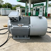 Éolienne verticale silencieuse Enneng Hydroelectric à aimant permanent, générateur synchrone 5 kW, protection IP68, roulement SKF
