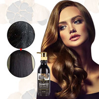 Shampoo à l'ail noir Mokeru Herbal sans sulfate, nourrissant, anti-frisottis, régulateur de sébum, antipelliculaire, prévention de la perte de cheveux, pour tous les types de cheveux