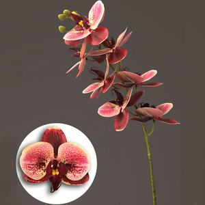 Orquídeas artificiales <span class=keywords><strong>de</strong></span> látex con estampado 3D, orquídeas artificiales <span class=keywords><strong>de</strong></span> seda falsa blanca con flores decorativas para el hogar, 2020 - Product Image 4