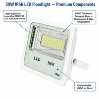 Projecteurs LED blancs 30 W IP66 étanches pour jardin, angle de faisceau 120° - Vente directe usine