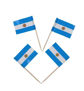 Niedriger Preis Doppelseitiger kunden spezifischer Druck Zahnstocher Flagge Polyester Argentinien für Dekoration