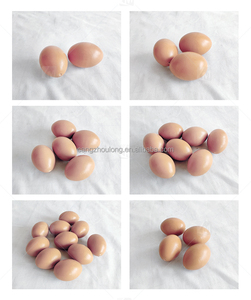 <span class=keywords><strong>Huevos</strong></span> Falsos de Madera y Plástico de Alta Calidad YYX LMA13, <span class=keywords><strong>Huevos</strong></span> de Imitación para Nidos de Gallinas - Product Image 3