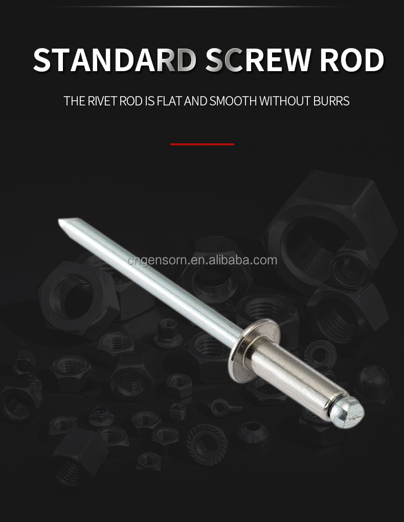 SEMISTEEL BREAK MANDREL RIVETS GB12618 in 304/316 stainless steel