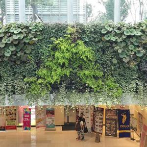 Módulos de Jardín Vertical, Sistema de Pared Verde Vertical, Maceta Colgante de Pared - Product Image 6