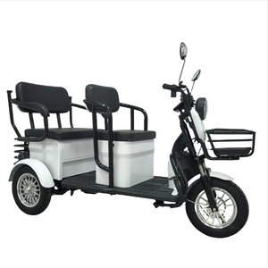 Triciclos Eléctricos Holladay <span class=keywords><strong>de</strong></span> Alta Calidad, 500W 60V, Diseño Abierto para Adultos, Scooter Eléctrico Familiar y <span class=keywords><strong>de</strong></span> <span class=keywords><strong>Carga</strong></span> - Product Image 3