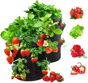 Reusable Non Woven Fabric Grow Bag Felt Planter Grow Bag Felt Strawberry Fabric Pot For Garden Decoration