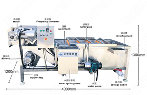 Lavador de Piñas Ecológico con Sistema de Reciclaje de Agua - Product Image 2