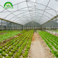 Grand système de jardin hydroponique durable de vente chaude NFT plantant le canal de PVC pour la matière plastique de laitue pour l'usage d'agriculture