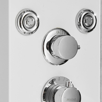 Panneau de douche FLG Modern Temperature en acier inoxydable SPA avec douche cascade à effet pluie LED