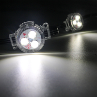 SHIJI moderno impermeable al aire libre 30mm LED punto fuente de luz SMD5050 RGB 24V LED Pixel luz para el hogar