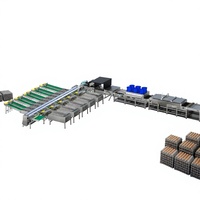 Ligne de traitement automatique pour le nettoyage des œufs, système de lavage, séchage, pesage, calibrage et emballage des œufs en acier inoxydable