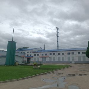 L-Carnosina in Polvere di Alta Qualità Standard <span class=keywords><strong>GMP</strong></span>, Grado Alimentare, 305-84-0, Confezionata Sottovuoto in Fusti - Product Image 5