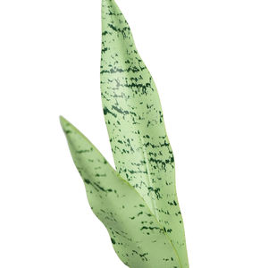 Buena venta 3D impresión diferente Color Artificial <span class=keywords><strong>Sansevieria</strong></span> planta Faux suculenta planta Tropical para sala de estar interior - Product Image 3