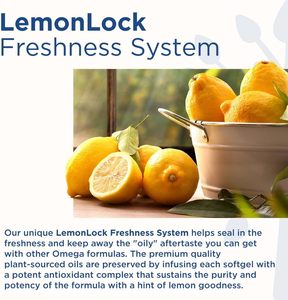 ผู้ผลิตอาหารเสริมวีแกนโอเมก้า 3-6-9 ที่ได้รับการรับรอง สนับสนุนสุขภาพสมอง ผิวหนัง และดวงตา น้ำมันปลาโอเมก้า 3-6-9 แบบวีแกนในรูปแบบซอฟต์เจล - Product Image 5