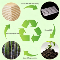 Emballage intérieur en pulpe moulée entièrement biodégradable et recyclable, respectueux de l'environnement, pour flacons cosmétiques, pots, boîtes cadeaux de maquillage